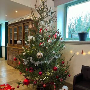 Noël au Domaine de Sourbil ©Ma Petite Toscane